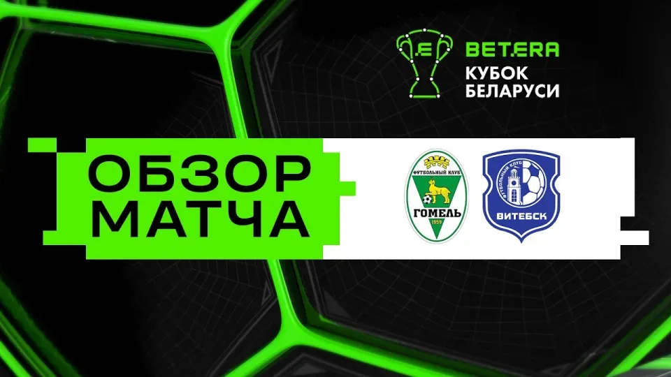 Обзор матча Гомель — Витебск