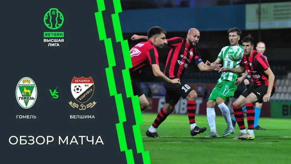 Обзор матча Гомель — Белшина